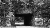 Ghost Roads & Ghoulish Gear: Spooky Motorcycle Rides and Halloween Apparel